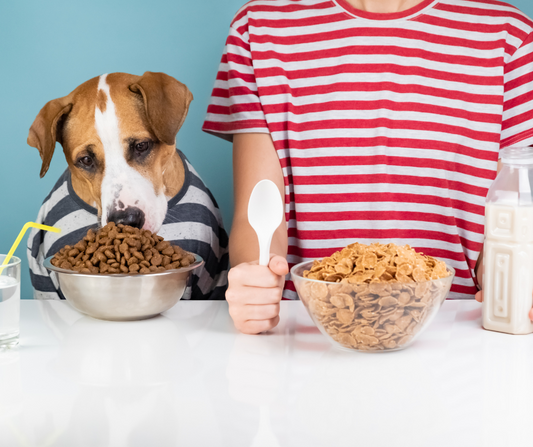 Exploring the World of Veg-Powered Proteins for Dog Food